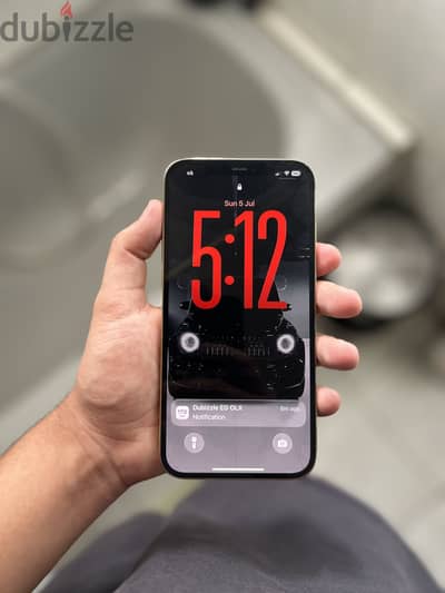 iPhone 12 pro max