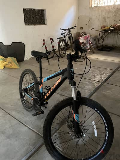 Totem  24 Mountain Bike (TOTEM Sunshine 24)
