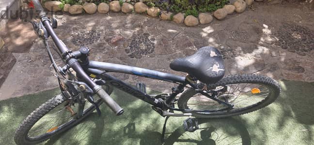 Orbea
