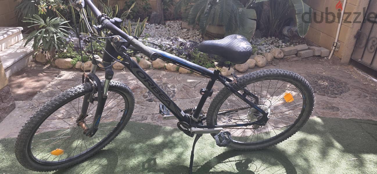 Orbea 1