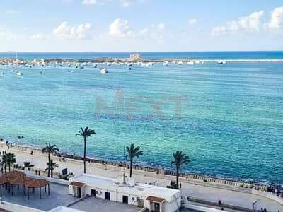 مقر اداري للايجار- عماره ال CIB- في المنشيه على البحر - بسعـر21,000ج