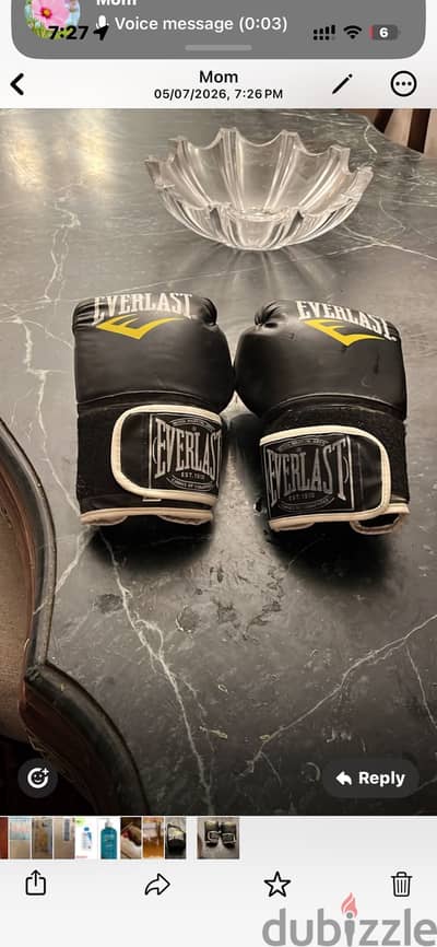 Everlast MMA Boxing gloves