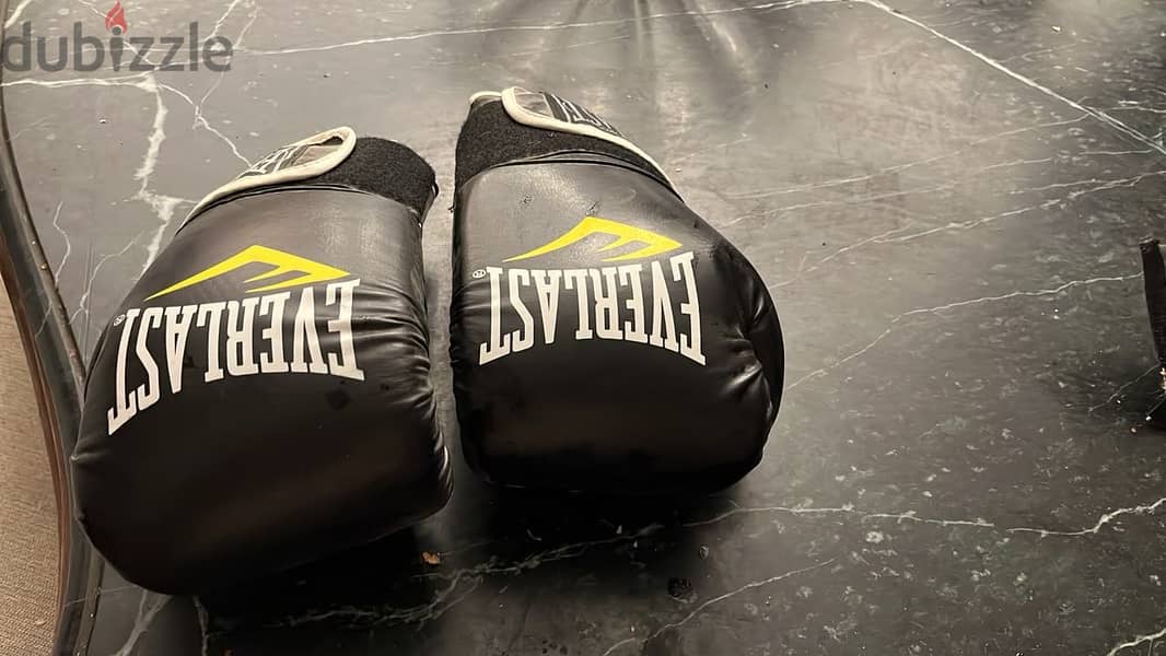 Everlast MMA Boxing gloves 1