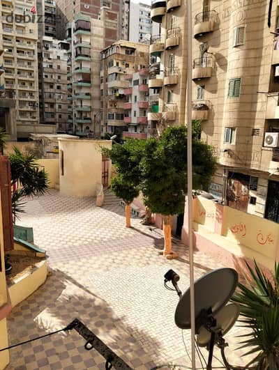 لراغبى الفرص - شقه 180متر بموقع متميز بفلمنج من شارع مصطفى كامل غير مجروحه
