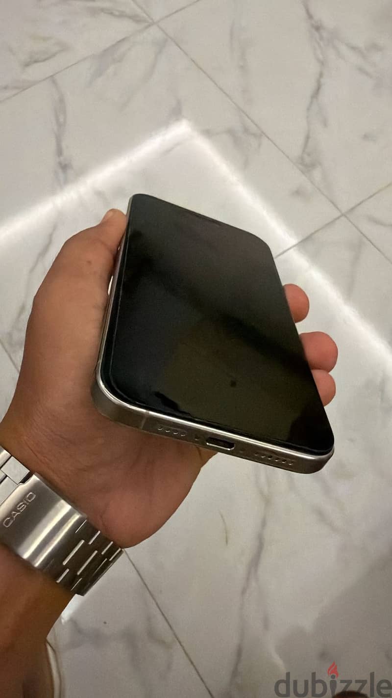 ipohne 15 pro max 1