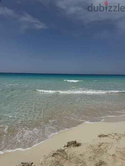 شاليه مارسيليا ٤ للإيجار for rent chalet in marseilia beach 4
