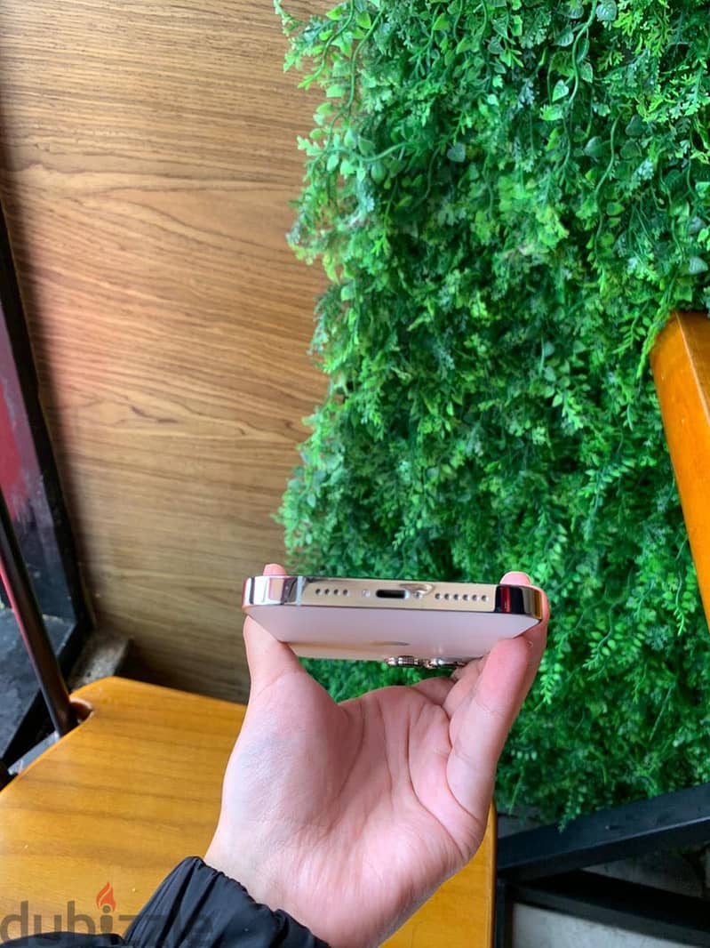 Apple - iPhone 13 Pro Max 6