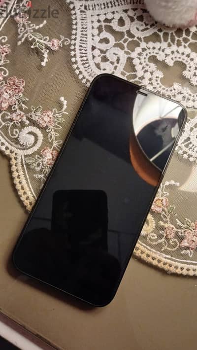 Apple - iPhone 12 Pro Max