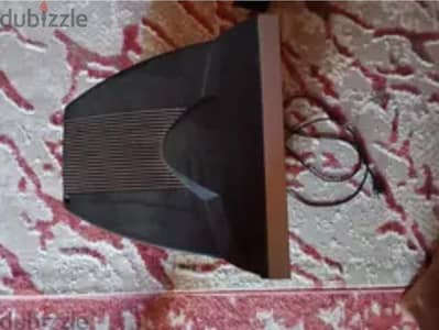 تلفزيون