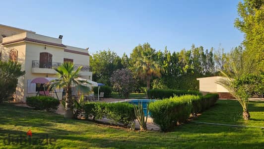 Luxury Standalone Villa with Expansive Garden & Private Overflow Pool