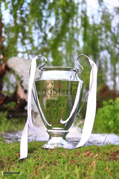 كأس دوري أبطال أوروبا
