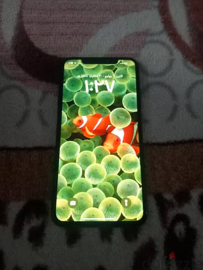 اكس اس ماكس 256