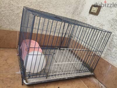 قفص و سقايه