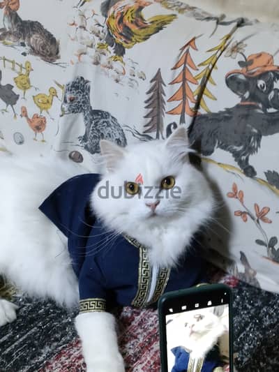 بقلظ عنده سنتين