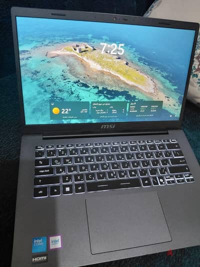 msi 14f1mg