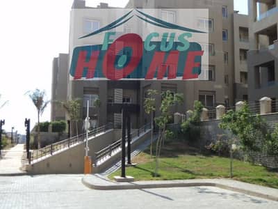 Studio for rent The Village Palm Hills, New Cairo