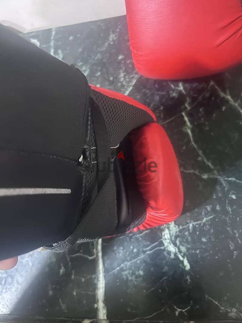 Box gloves 2