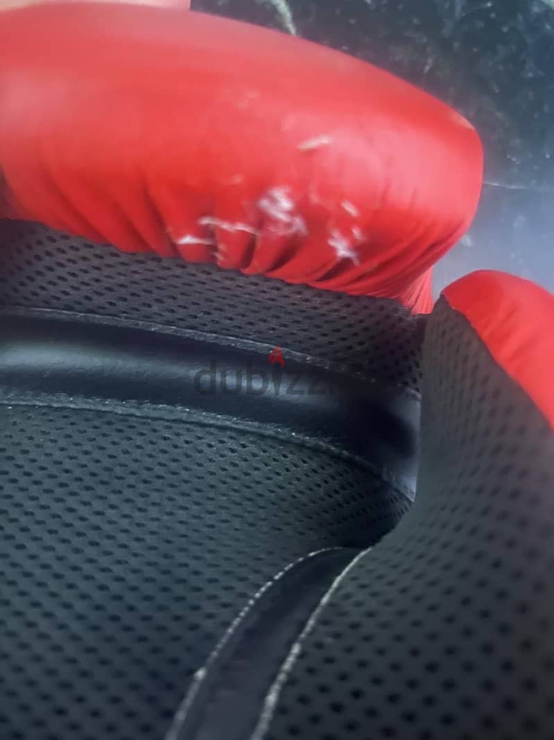 Box gloves 4