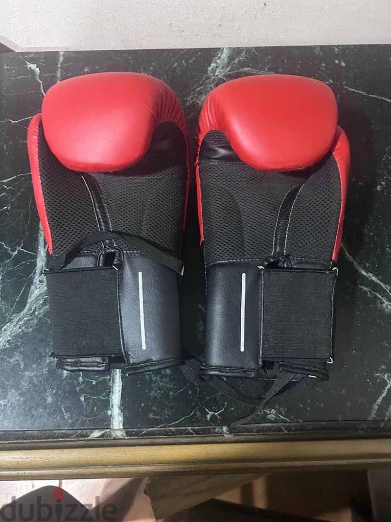 Box gloves 6
