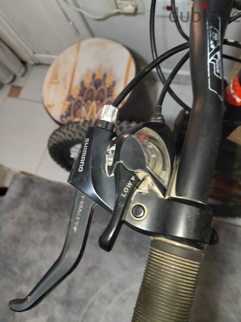 Mountain Bike Trinx 4