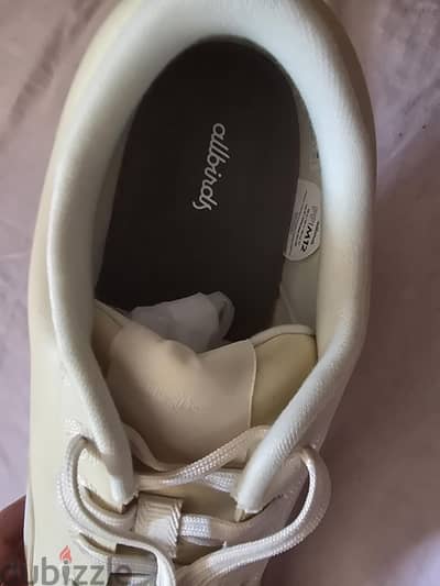 Allbirds