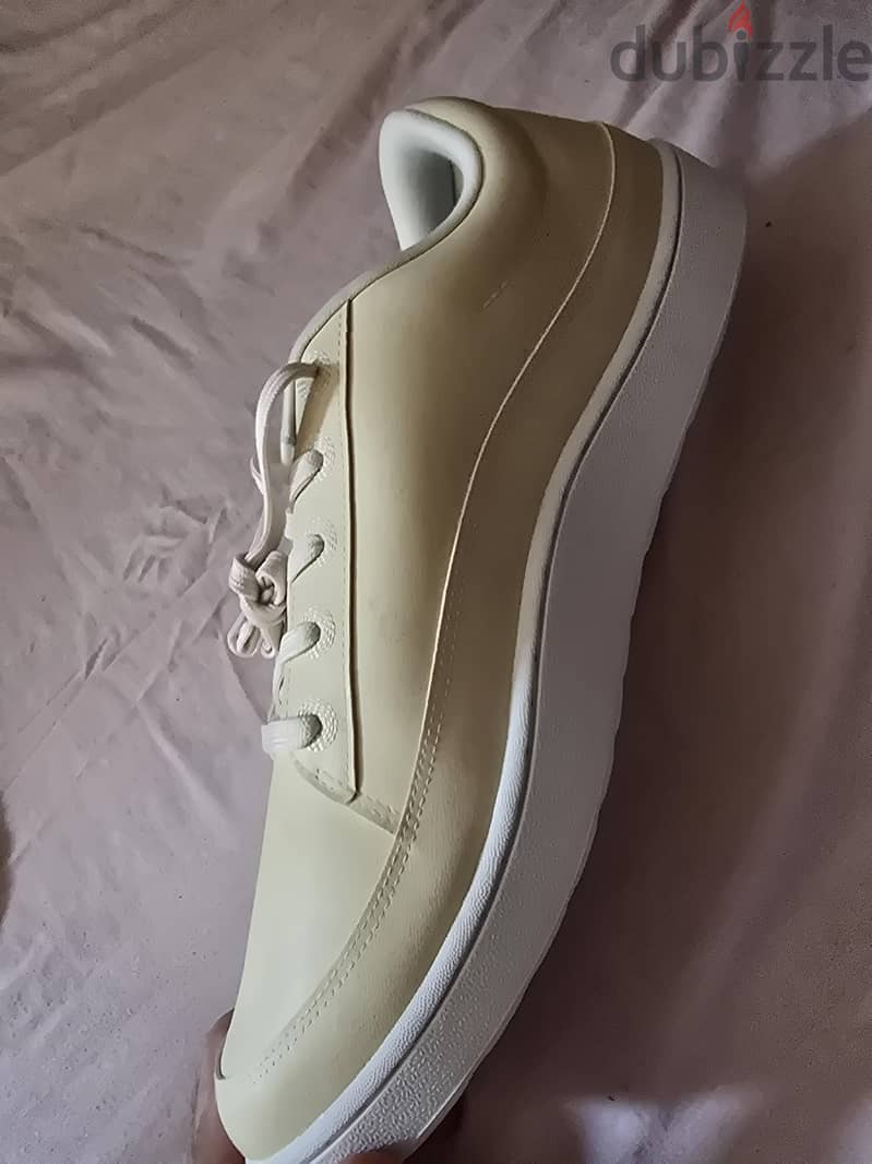 Allbirds 1