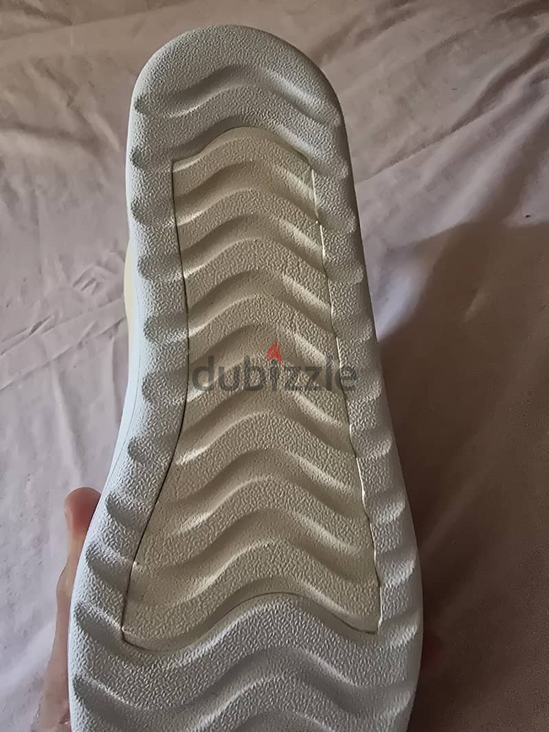 Allbirds 2