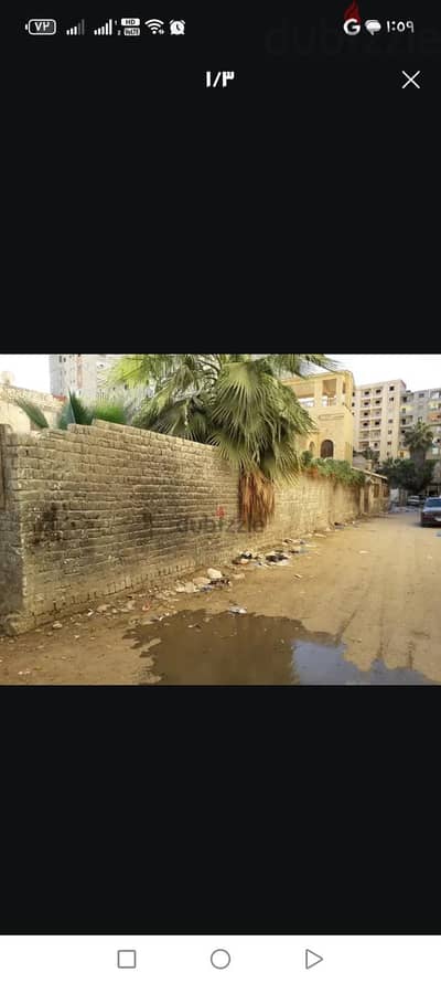أرض للبيع بالعجمى الهانوفيل اسكندريه اخر شارع خير الله مع شارع الورشة