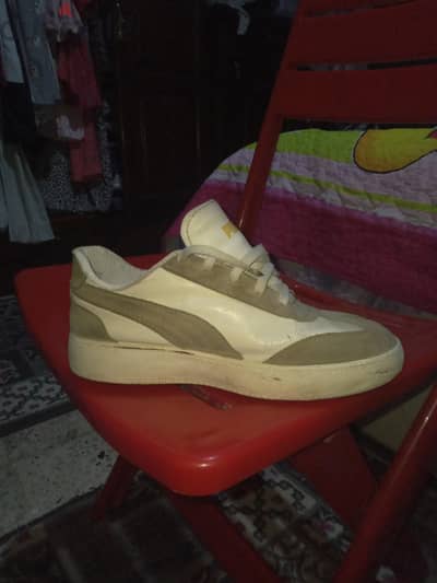 puma بس مش اصلي