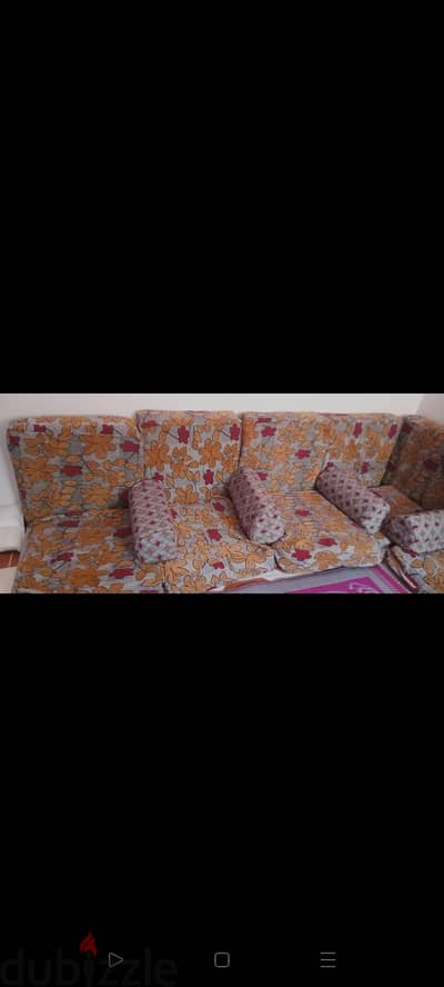 قاعده عربي شلت