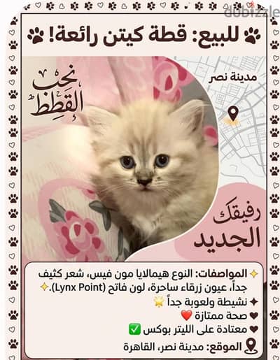 ولد و بنت هملايا