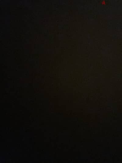 قطه للتبني