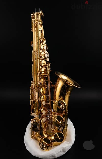 New Alto  saxophonefrom France