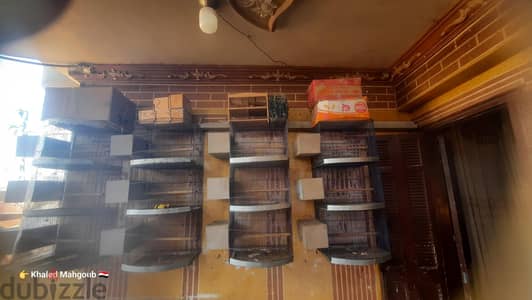 تصفيات مزرعة سلاكات بومبية واقفاص ومستلزماتها بحالة جيدة