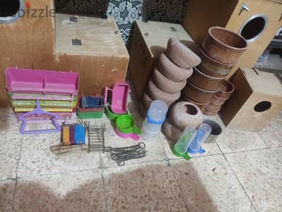 مستلزمات طيور للبيع