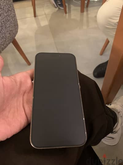 Apple - iPhone 16 Pro Max