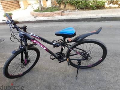 bike trinx