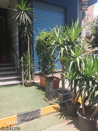 Furnished apartment for rent in prime locations in Mohandessin, next to restaurants and cafes