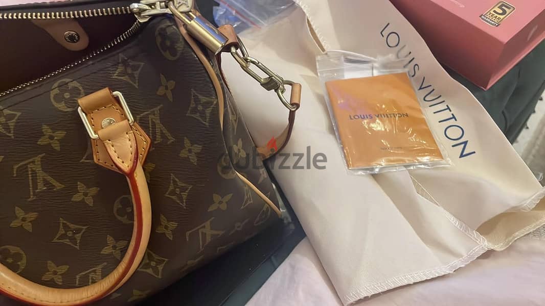 Lv mirror 4