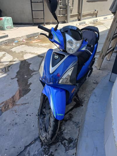 اسكواتر stmax للبيع