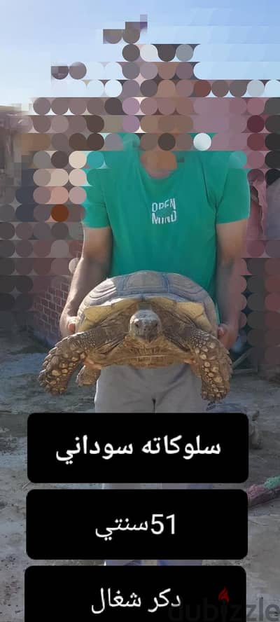 سلوكاته  سوداني