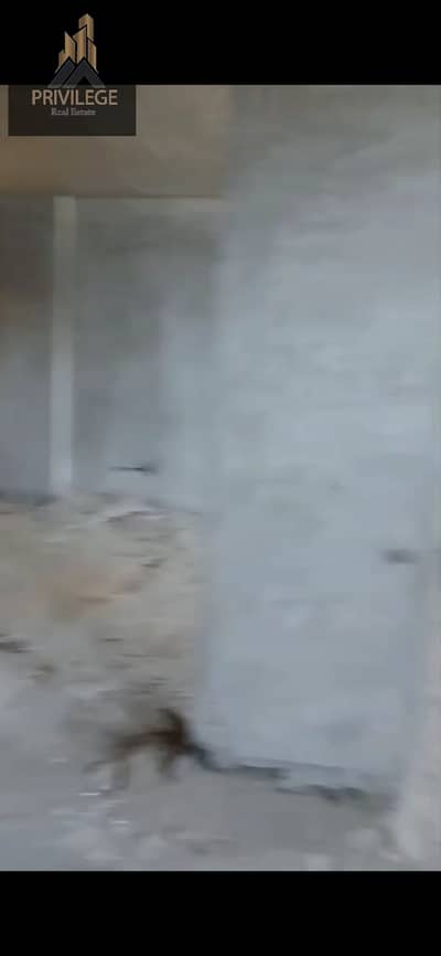 Zahraa Al-Maadi