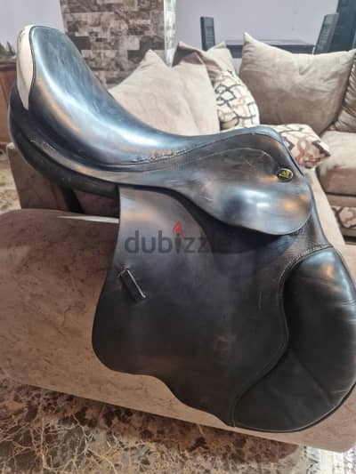 jumpingsaddle