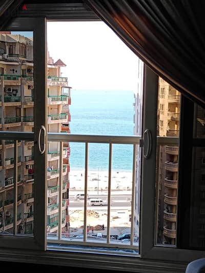 شقه للايجار اليومي بالإسكندرية في المندرة
