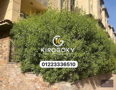 Apartment for rent, ground floor with garden, vacant, closed and planted garden available, nationalities, compound Gardenia City, Nasr City