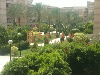 شقه للبيع فى مدينة الرحاب 272 متر المرحله الرابعه تشطيبات خاصه