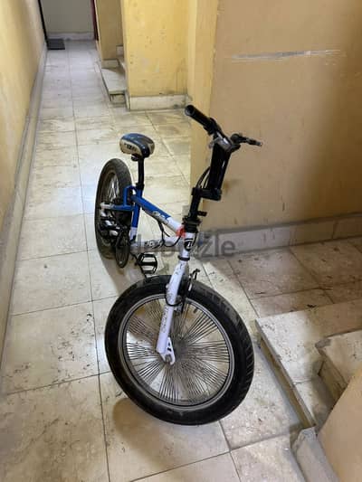 BMX gomo