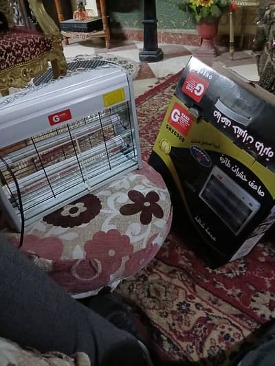 صاعق حشرات ٦٠٠٠ فولت