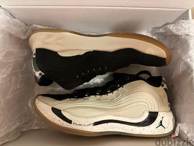 Air Jordan Luka 4 special edition