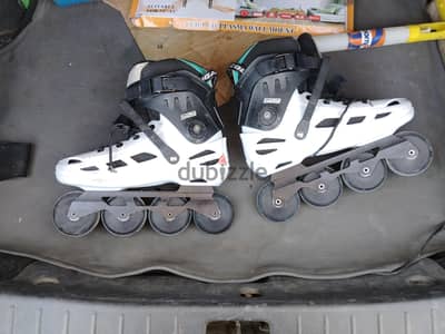 cougar 509